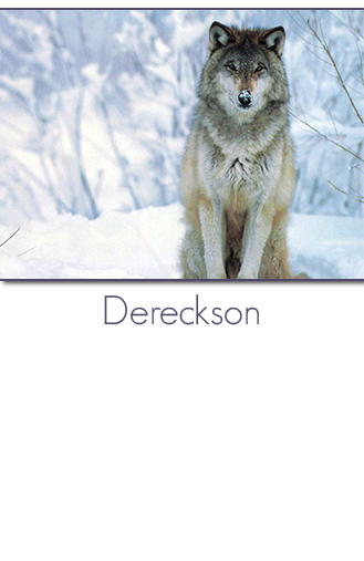 Sébastien Santoro aka Dereckson. Developer, Wikipedian, FreeBSD contributor, urban community creator, hackerspace founder, projects catalyst.